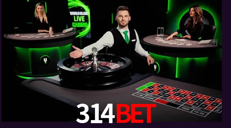 API Integration 314bet