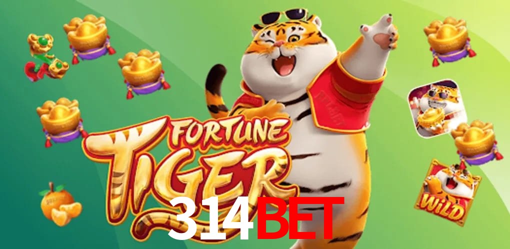 Experiência VIP 314bet